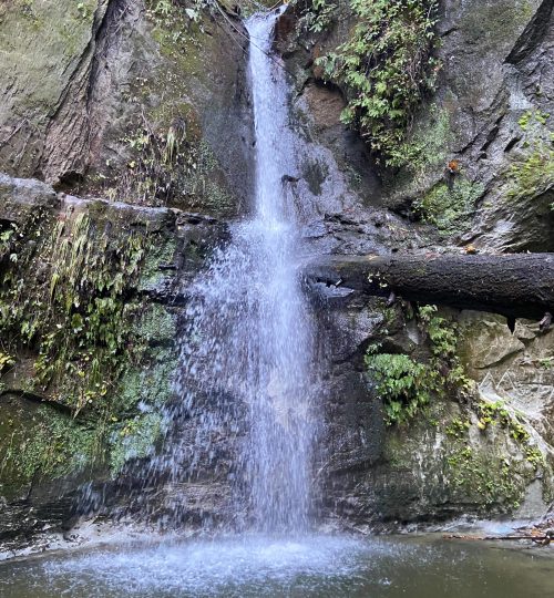 Maple Falls Trail